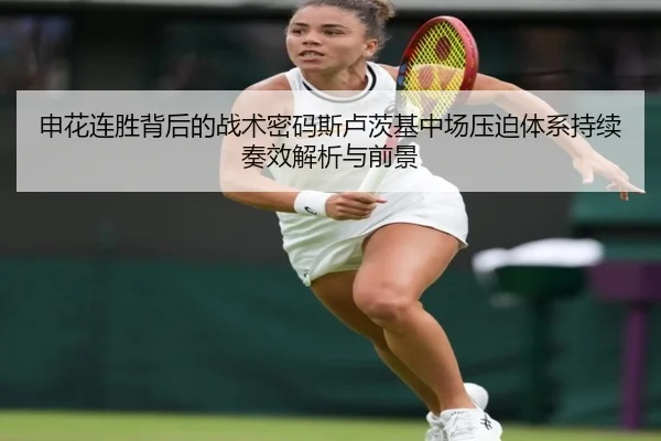 申花连胜背后的战术密码斯卢茨基中场压迫体系持续奏效解析与前景